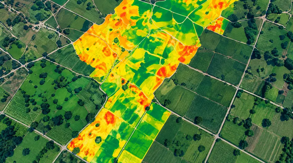 Agricultural fields with crop suitability analysis overlay